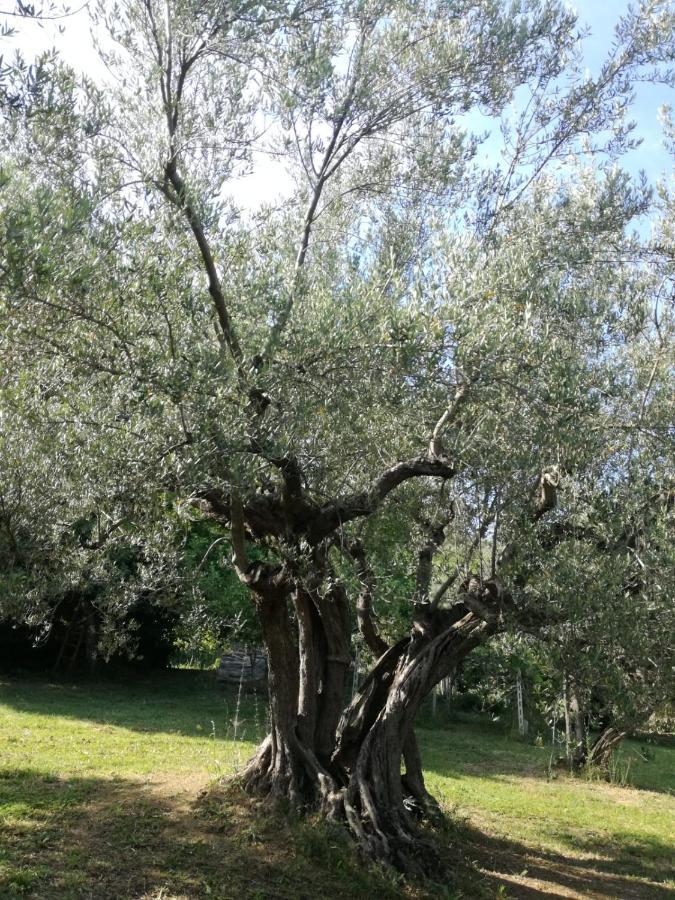 Vacanze In Collina, Tra Mare E Monti Bucchianico Exterior foto
